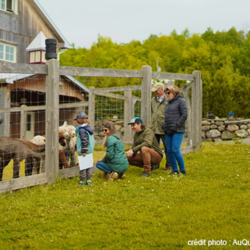 region_de_brome_missisquoi_5