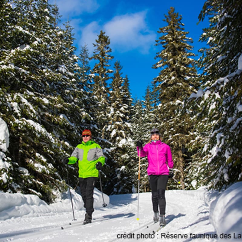 reserve_faunique_des_laurentides_1_h