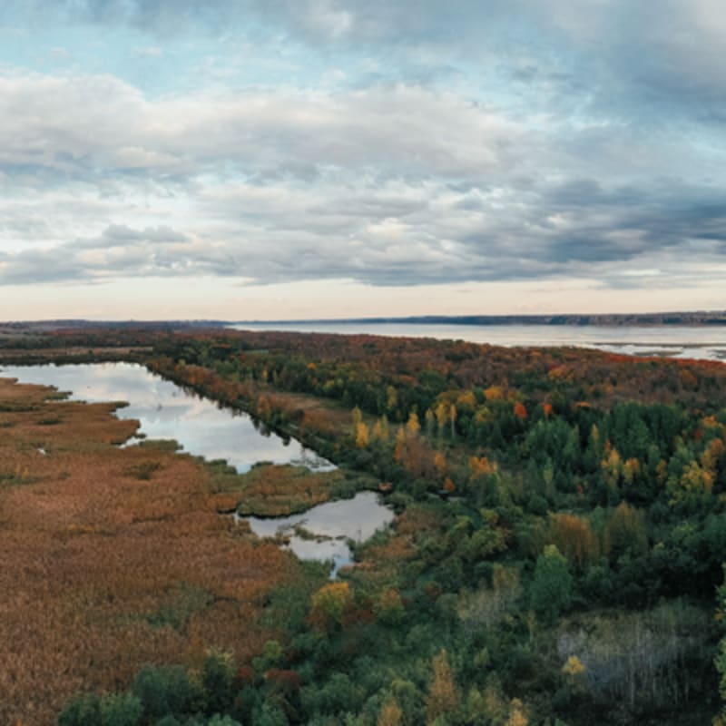 reserve_naturelle_du_marais_leon_provencher_1