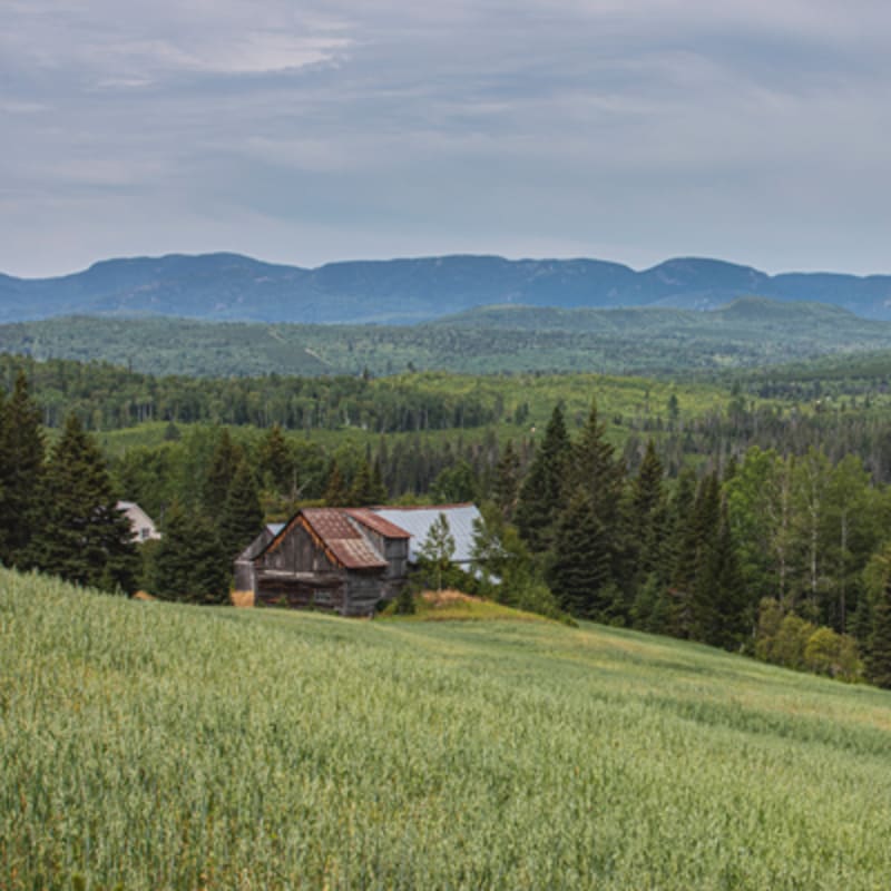 secteur_des_montagnes_13