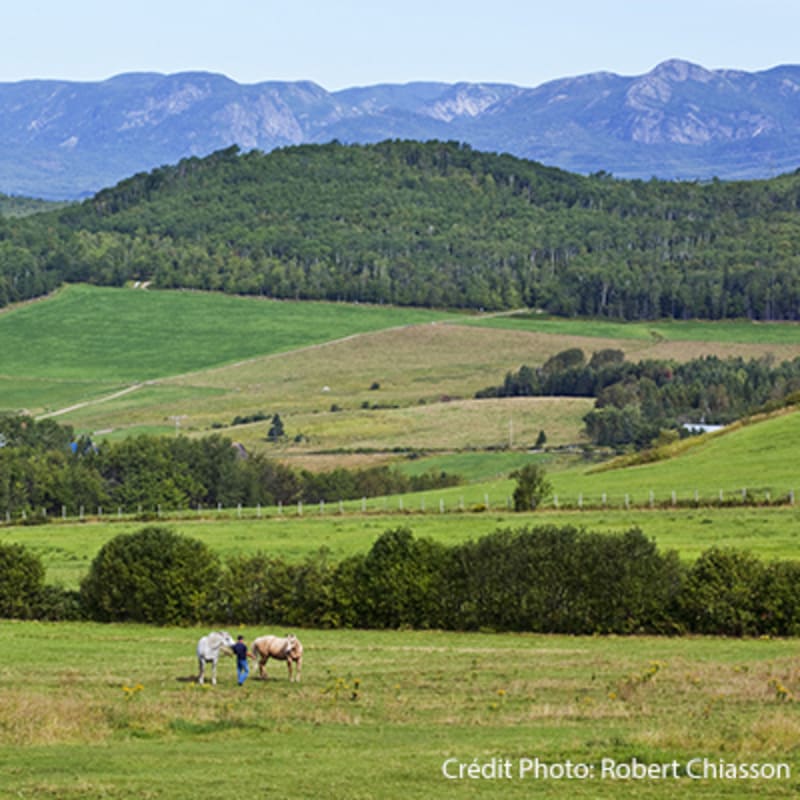 secteur_des_montagnes_7