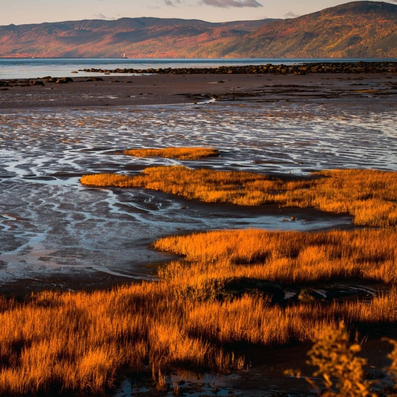 secteur_du_fleuve_11