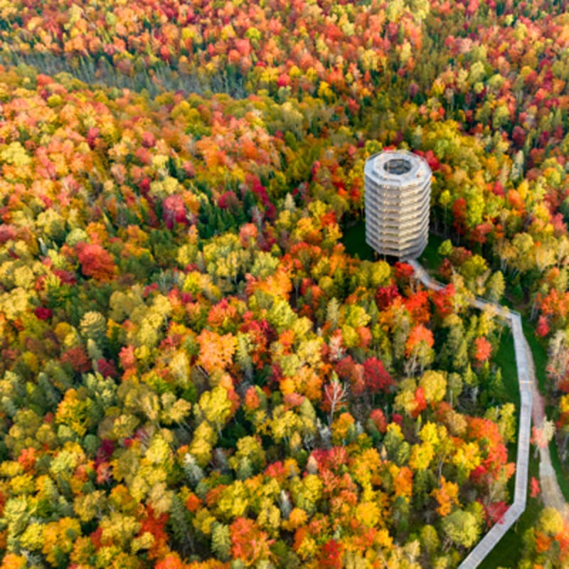 sentier_des_cimes_laurentides_1_a