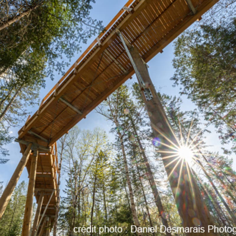 sentier_des_cimes_laurentides_1_p