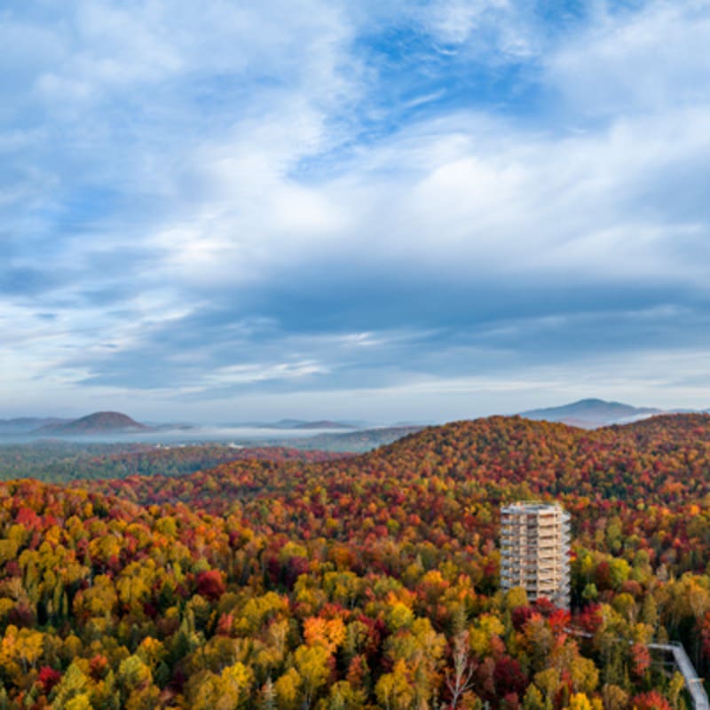 sentier_des_cimes_laurentides_2_a