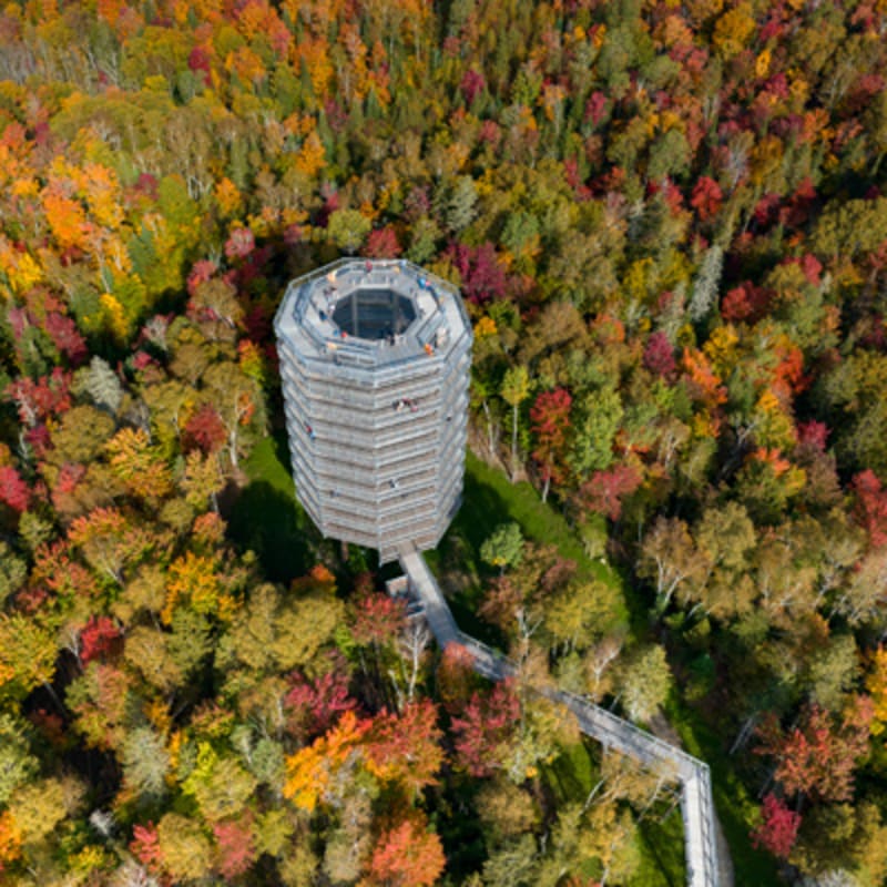 sentier_des_cimes_laurentides_3_a