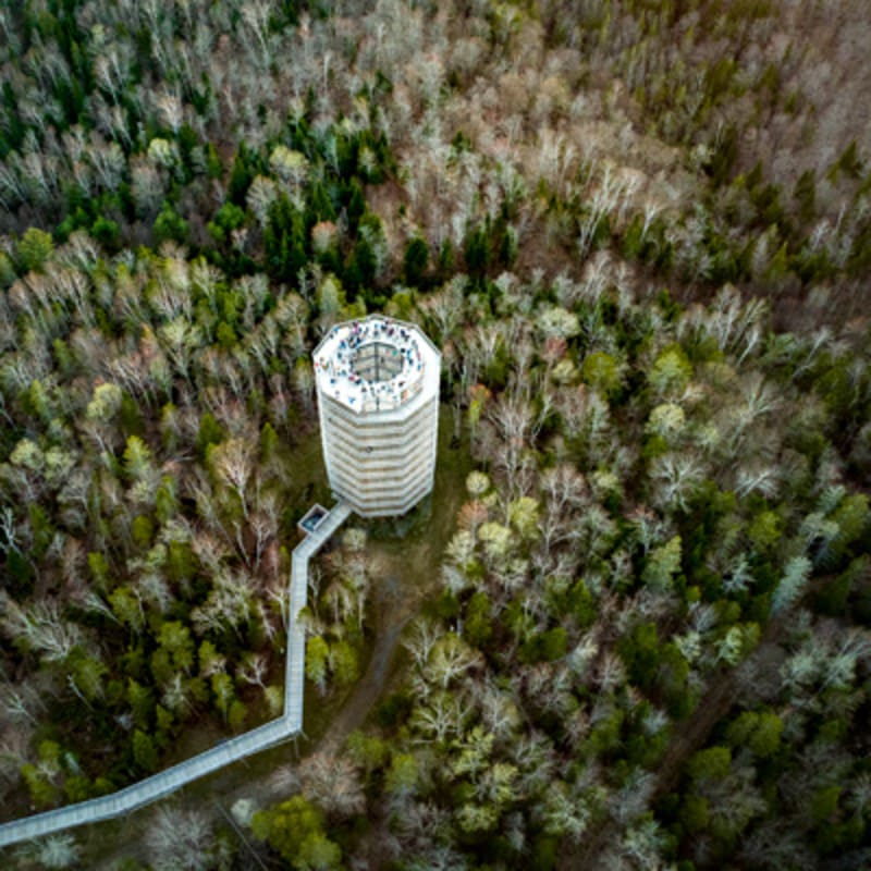 sentier_des_cimes_laurentides_3_p
