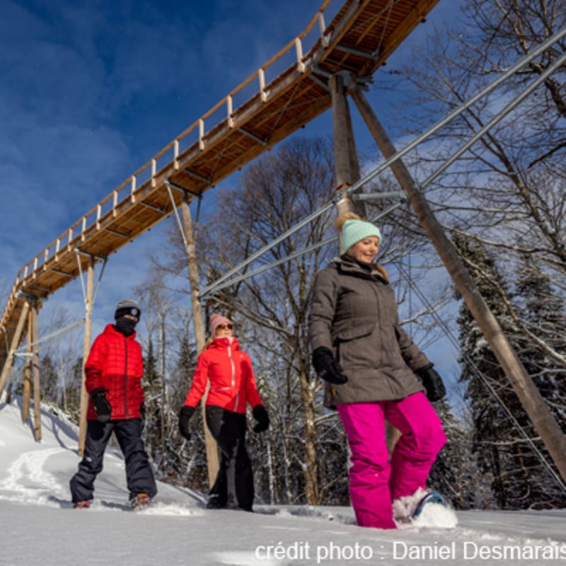 sentier_des_cimes_laurentides_5_h