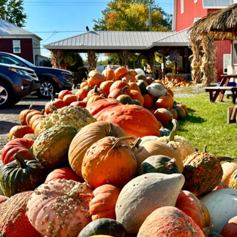 tourisme_haut_richelieu_3_a
