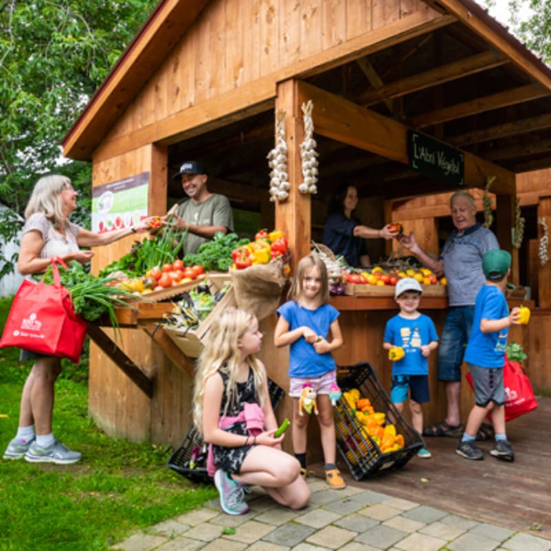 vallee_de_la_coaticook_15