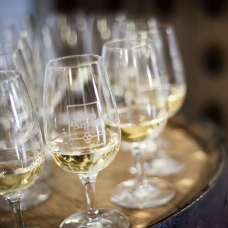 vignoble_le_cep_dargent_1_h