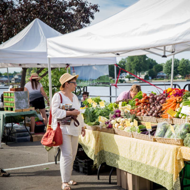 ville_de_sainte_anne_de_bellevue_7