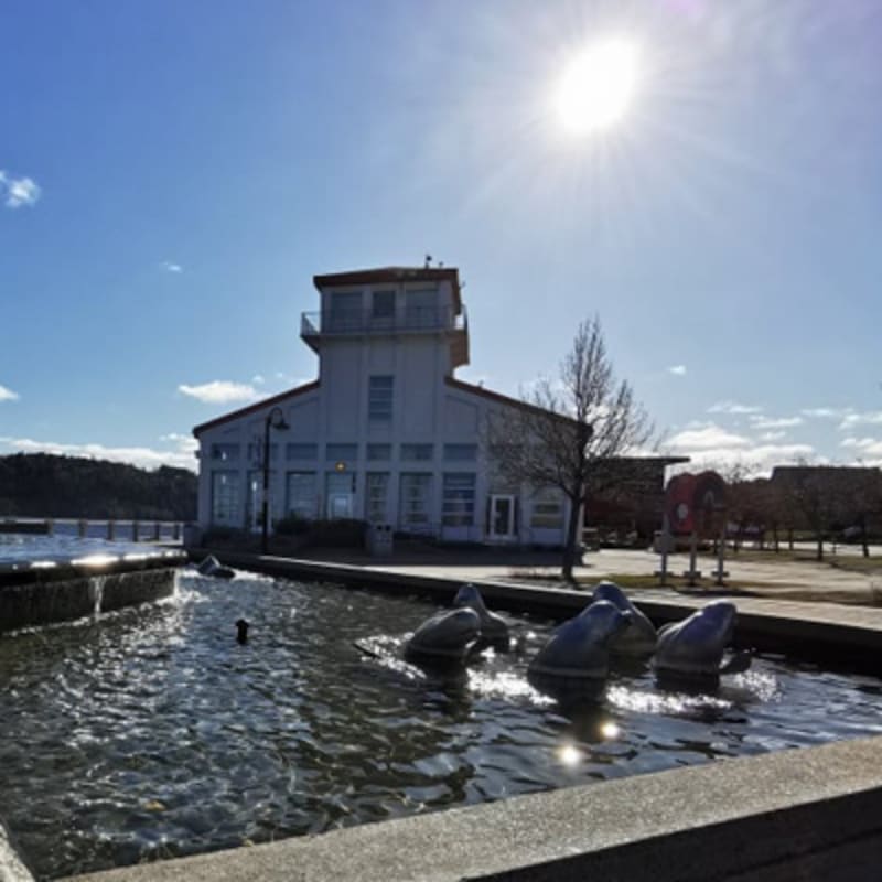 zone_portuaire_de_chicoutimi_3