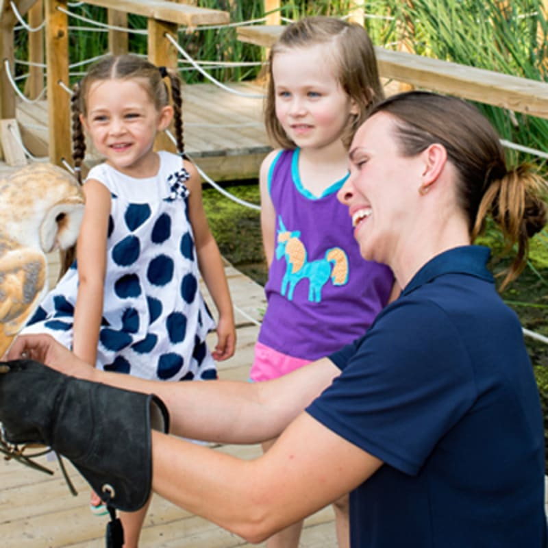 zoo_ecomuseum_2