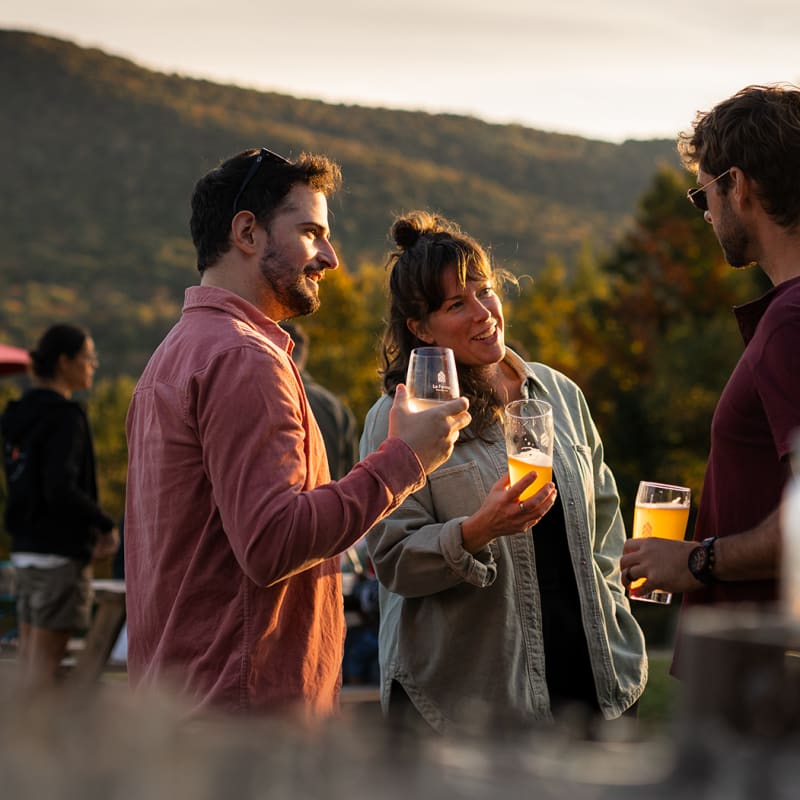 Ideas to plan your summer in Quebec - Group of friend in a vineyard