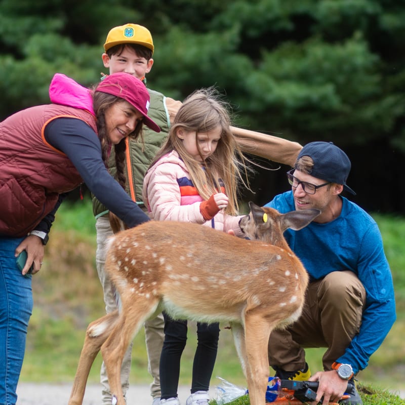 Family around a fawn.