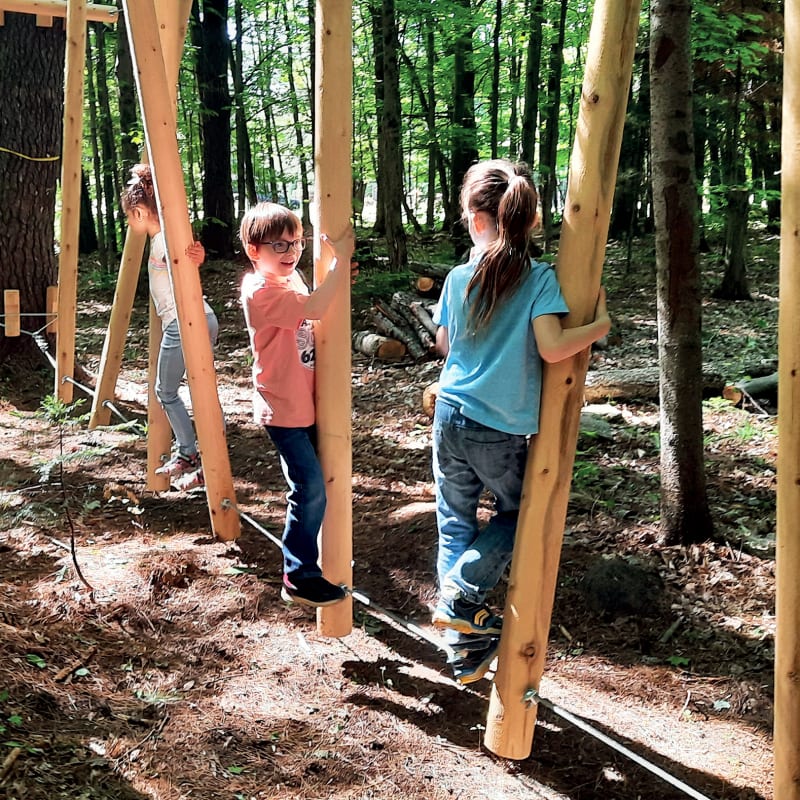Kids playing in a play structure in the forest.