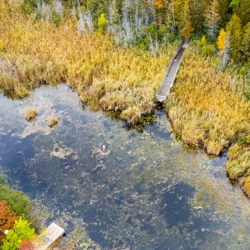 Aerial view of the marshes at Marais de la Rivière-aux-Cerises.