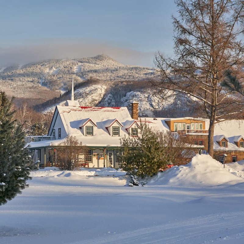 Country home and hotel in a forested area with the mountain in the background.