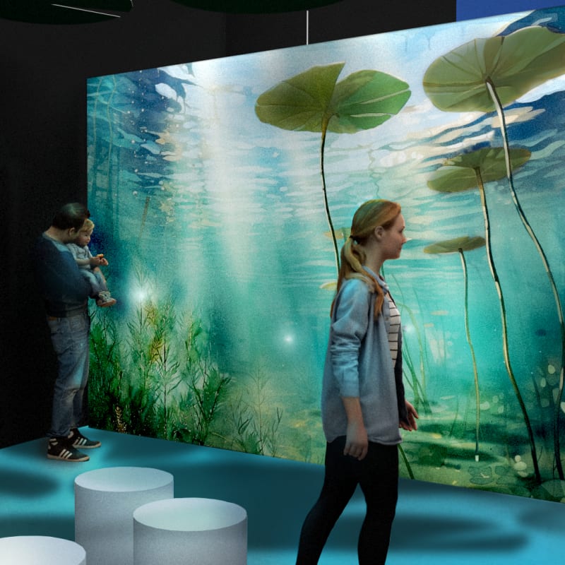The Watersheds exhibit at the BIosphere.