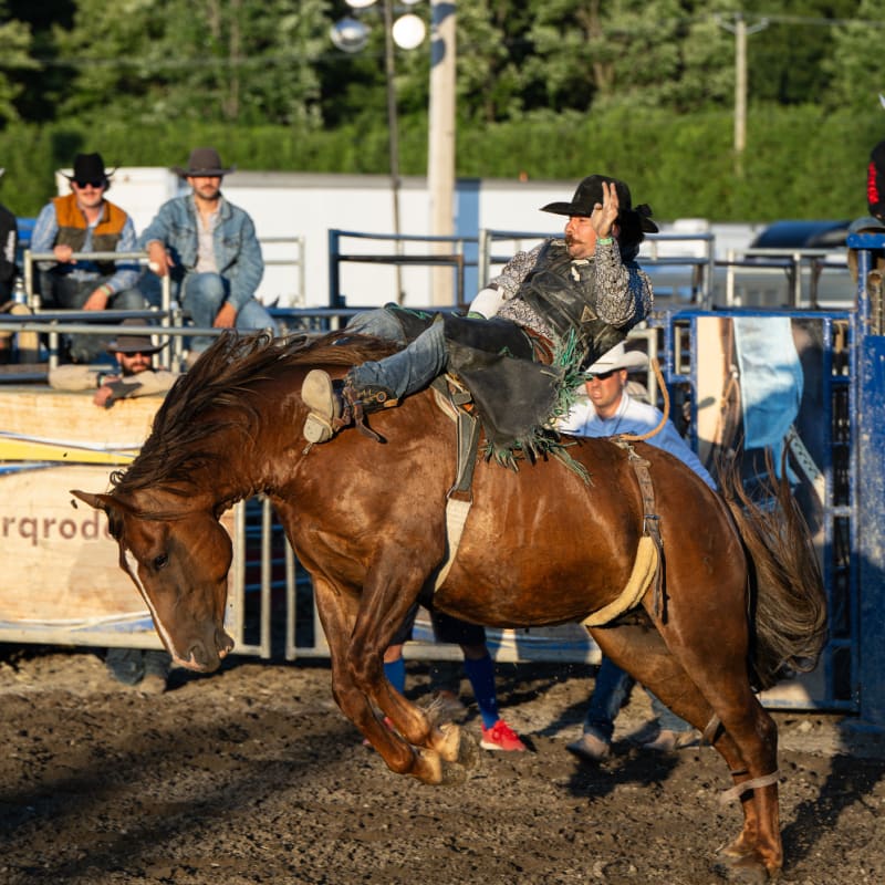 Rodeo at the St-Hyacinthe county fair.