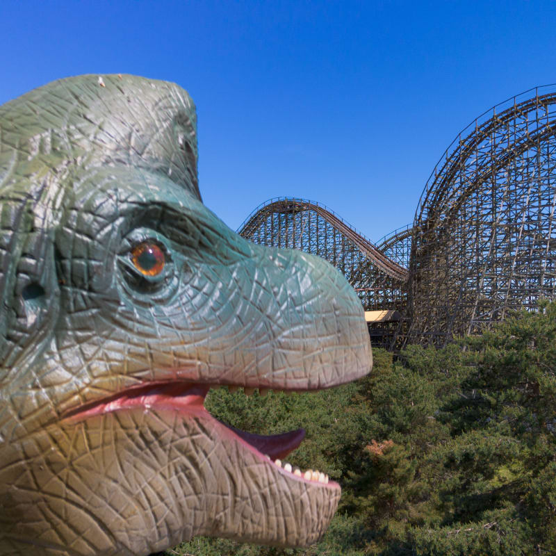 Gros plan sur la tête d'un dinosaure, avec une montagne russe en arrière-plan.