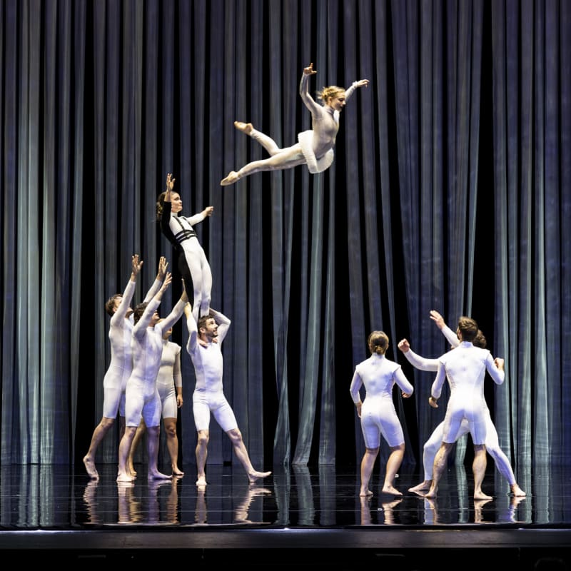 Acrobats on stage at the Duck Pond circus show