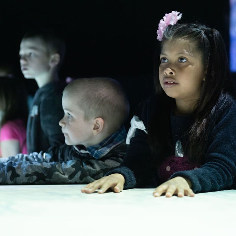Girl and boys at the Terra Mutantès exhibit at the Sherbrooke Museum of Nature and Science.