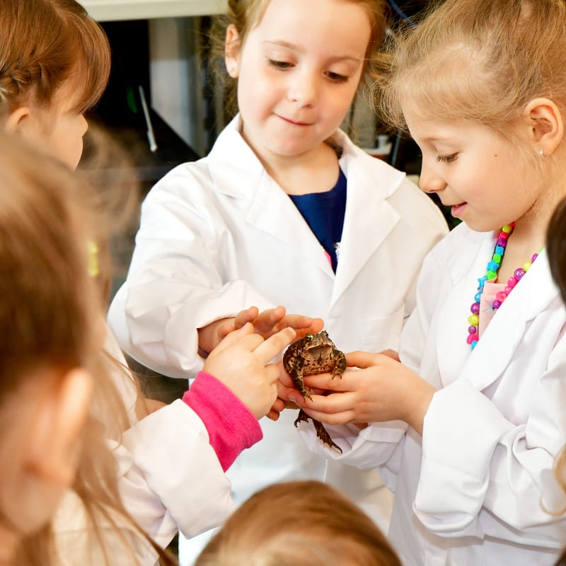 Groupe de jeunes enfants en sarrau en train d'observer une grenouille.