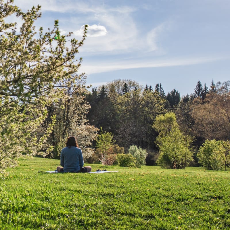 Flowering tree and young woman meditating on the grass.