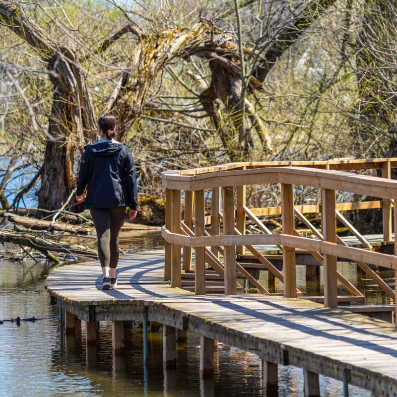 Young woman walking on a pathway over the water in the woods.
