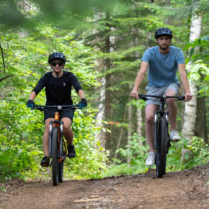 Two people fatbiking in the forest.