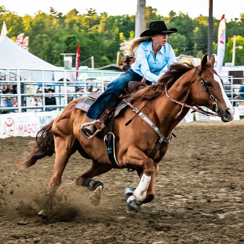 Woman in a rodeo on her horse in front of the crowd.