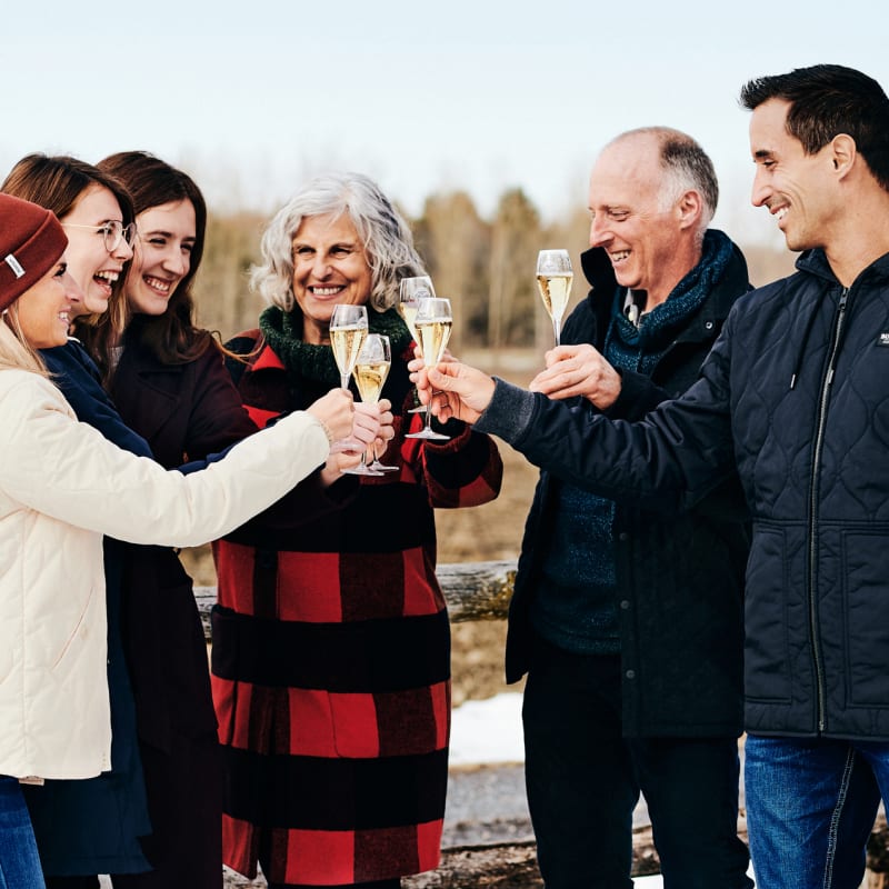 6 personnes heureuses à l'extérieur dans un vignoble l'hiver qui trinkent leurs verres de vin.