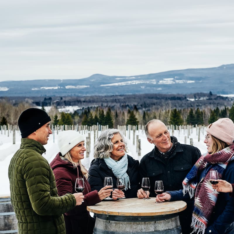 Groupe de 6 personnes heureuses avec des verres de vin à l’extérieur dans un vignoble l’hiver.
