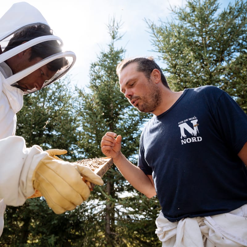 Beekeeper and visitor at the Grande Ourse honey farm