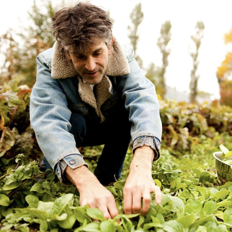Cueilleur dans la forêt