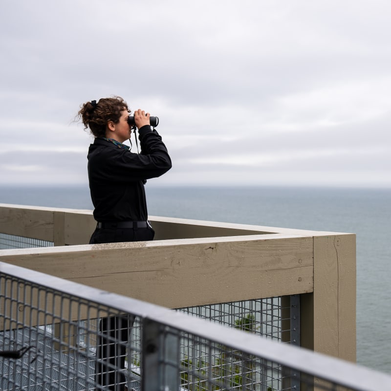 Femme qui observe les bélugas au Bas-St-Laurent