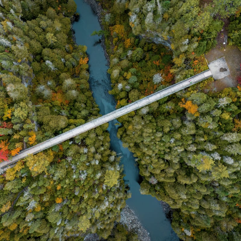 Aerial view of the Hell's Gate Canyon suspension bridge.