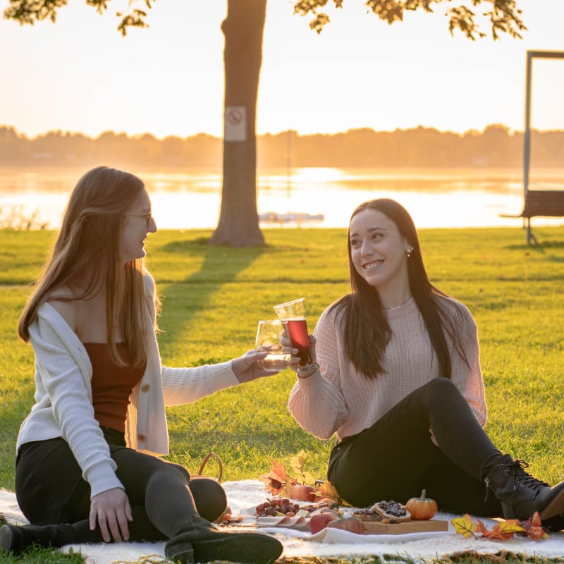Two young women clink their glasses and share a picnic by the river,