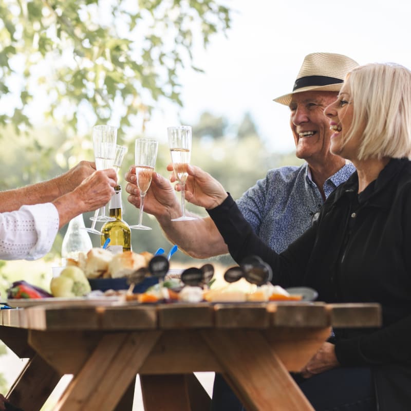 Two middle-aged couples sharing a picnic.