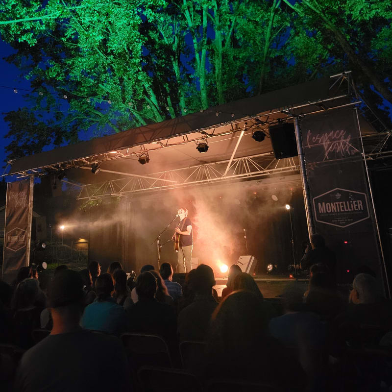 Stage with musical artist seen from the crowd, in the evening.
