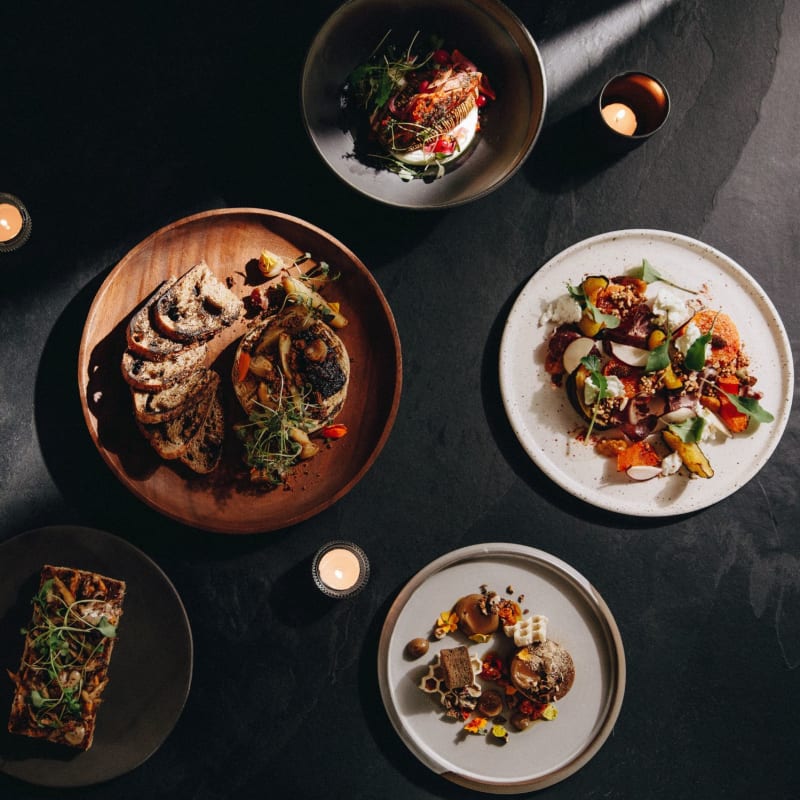 Variété de plats gastronomiques sur fond noir.