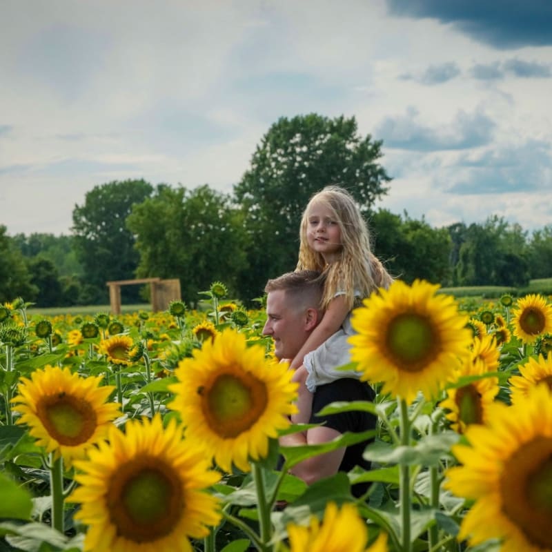Father and daughter in a field of sunflowers in Laval.