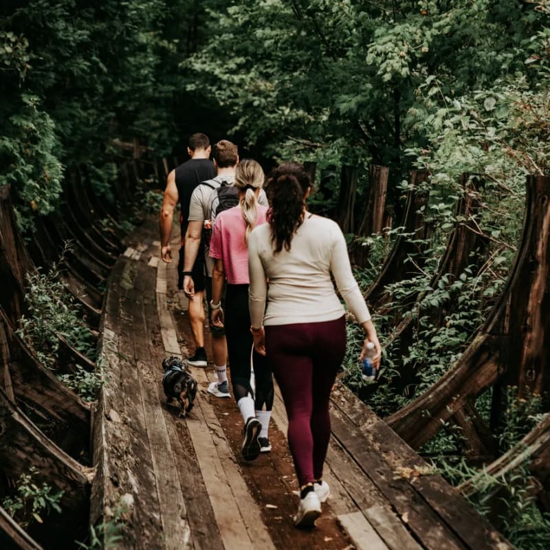 Group of people walking on an old wooden structure in the heart of the forest.