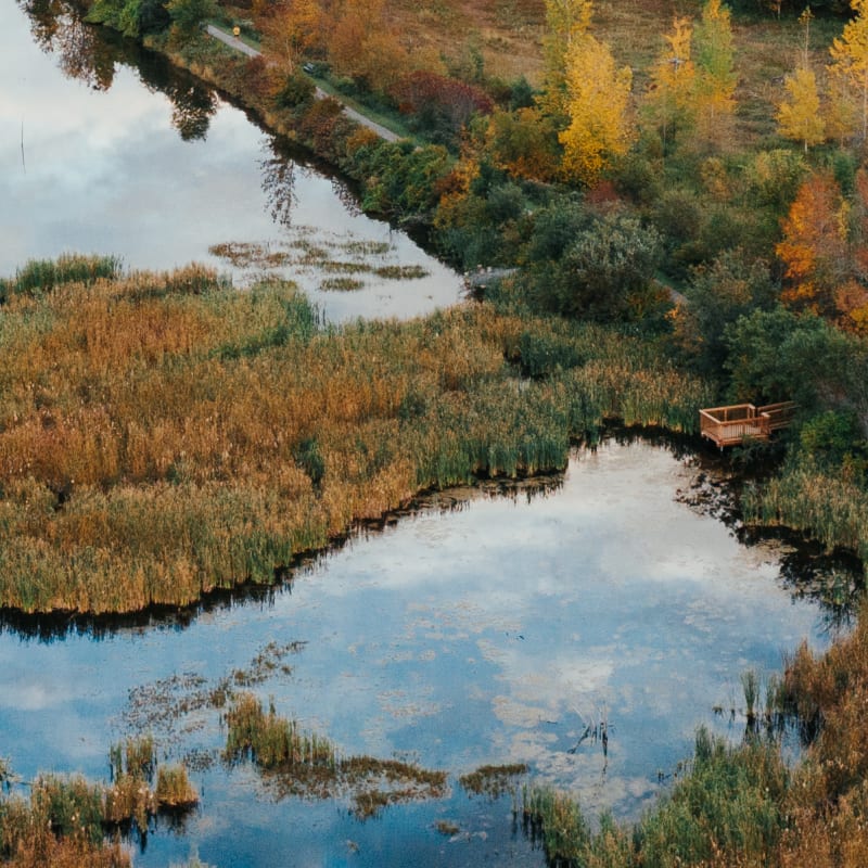 Lake and fall landscape slightly overcast.