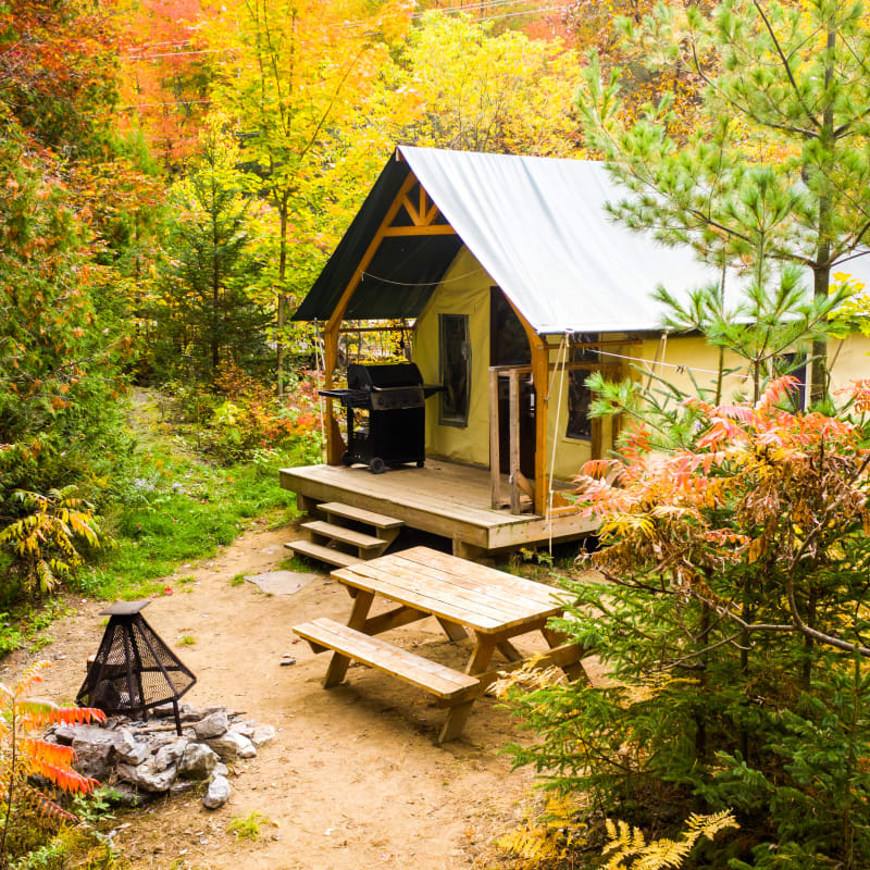 Cottage in the forest in a fall setting.