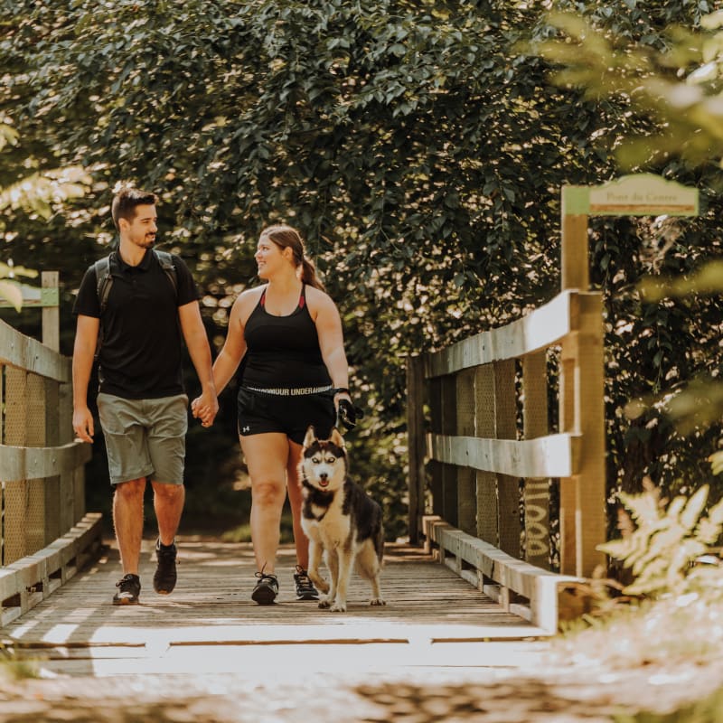 Couple with a dog hiking in a wooded area.