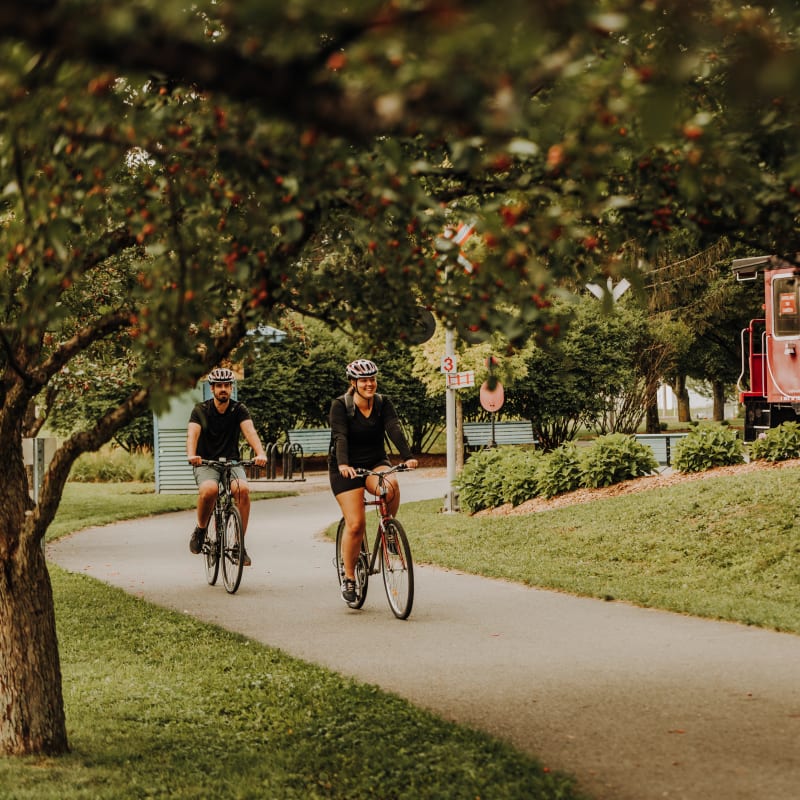 Couple on bicycles on a paved path.