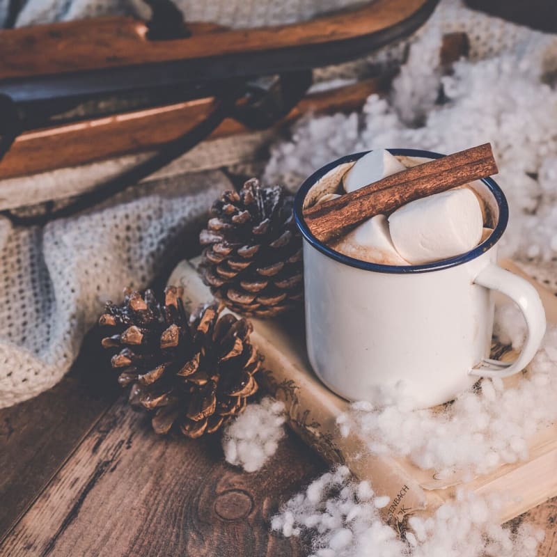 Close-up of a filled cup, with marshmallow and cinnamon stick.